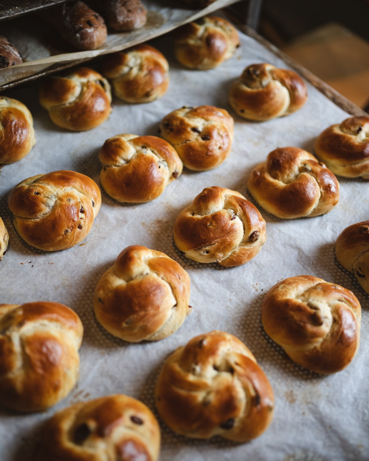 Eine Vielzahl von frisch gebackenen Rosinenknoten mit einer goldbraunen Oberfläche, gleichmäßig auf einem Backblech angeordnet.